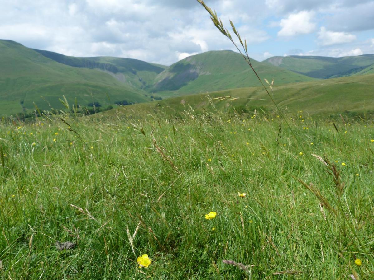 Howgill Cottage Sedbergh Εξωτερικό φωτογραφία
